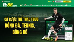 Cá Cược Thể Thao FB88 – Bóng Đá, Tennis, Bóng Rổ